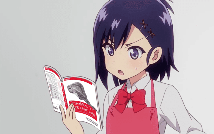 Anime girls holding programming books photo